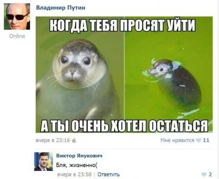 Хорошие фото приколы предвещают хорошую пятницу Хорошие фото приколы предвещают хорошую пятницу