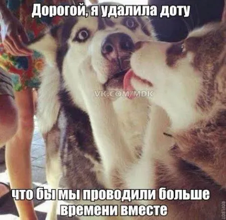Хорошие фото приколы предвещают хорошую пятницу Хорошие фото приколы предвещают хорошую пятницу