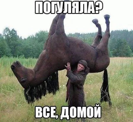 Пост смешных картинок. Фотоприколы кароч Пост смешных картинок. Фотоприколы кароч