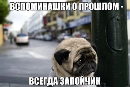 Пост смешных картинок. Фотоприколы кароч Пост смешных картинок. Фотоприколы кароч