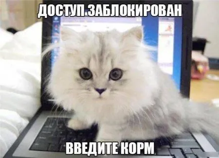 Пост смешных картинок. Фотоприколы кароч Пост смешных картинок. Фотоприколы кароч