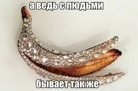 Пост смешных картинок. Фотоприколы кароч Пост смешных картинок. Фотоприколы кароч