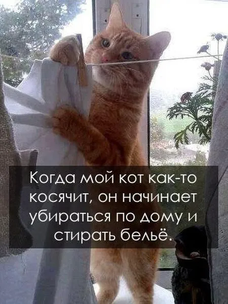 Забавные фото, смешные приколы, одним словом - пятница :)