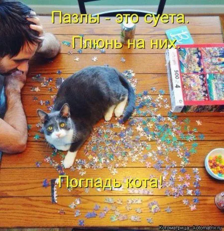 Пятничные котоматрицы)