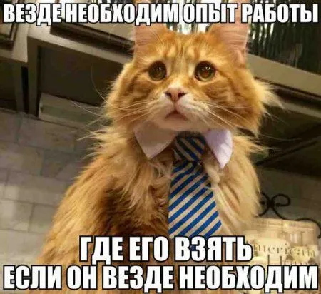 Начало положено. Далее фотоприколы предложены