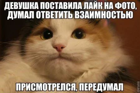 Начало положено. Далее фотоприколы предложены