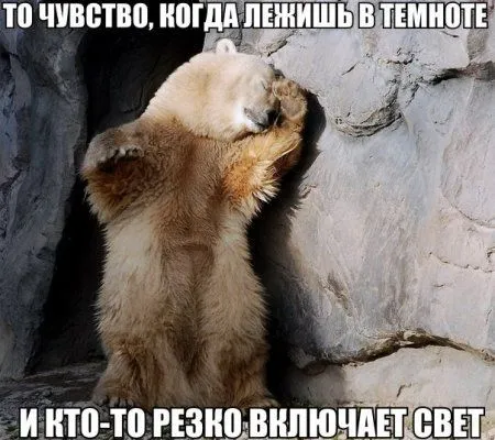 Начало положено. Далее фотоприколы предложены