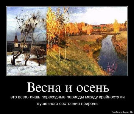 Немного демотиваторов