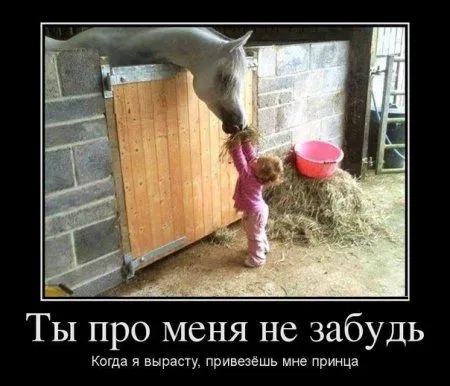 Немного демотиваторов