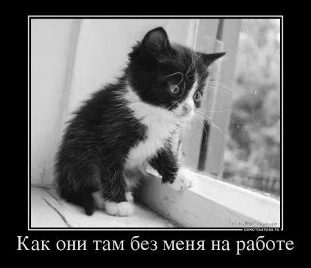 Немного демотиваторов