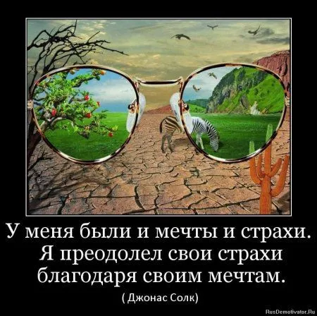 Немного демотиваторов