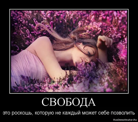 Немного демотиваторов