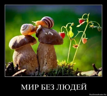 Немного демотиваторов