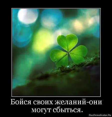 Немного демотиваторов