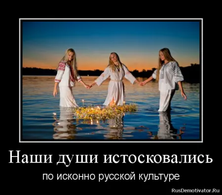 Немного демотиваторов