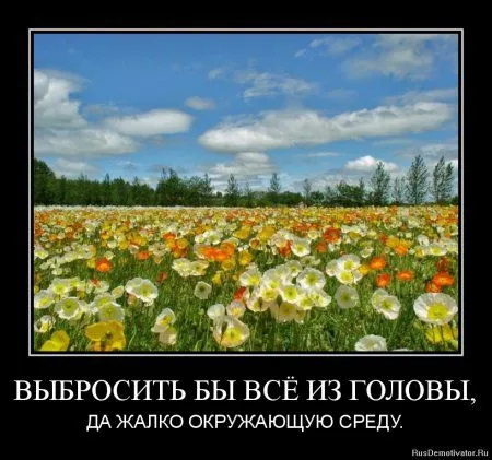 Немного демотиваторов