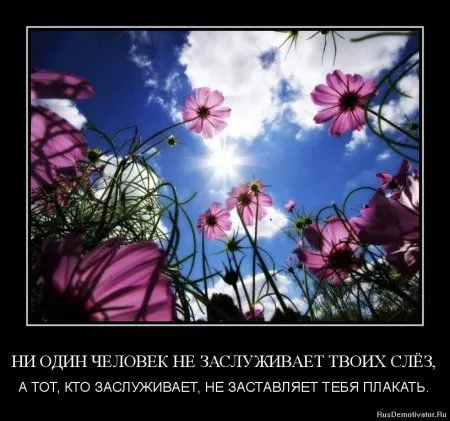 Немного демотиваторов