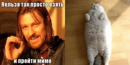 К лету осталось 40 дней, а мы продолжаем сеять позитив