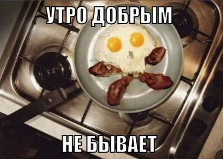 К лету осталось 40 дней, а мы продолжаем сеять позитив