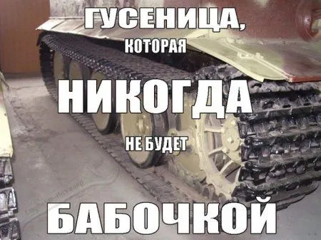 К лету осталось 40 дней, а мы продолжаем сеять позитив