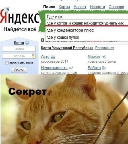 К лету осталось 40 дней, а мы продолжаем сеять позитив
