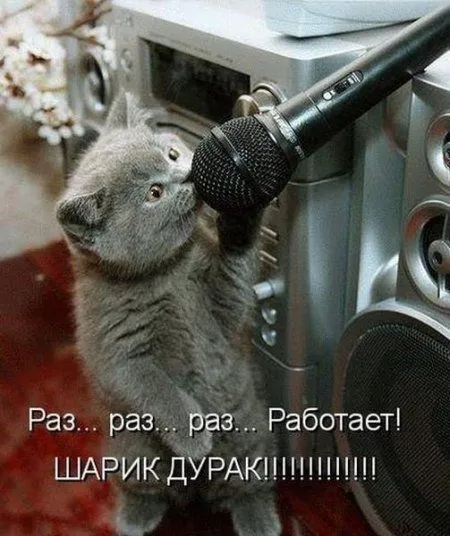 К лету осталось 40 дней, а мы продолжаем сеять позитив