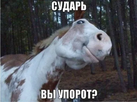 К лету осталось 40 дней, а мы продолжаем сеять позитив