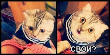 К лету осталось 40 дней, а мы продолжаем сеять позитив