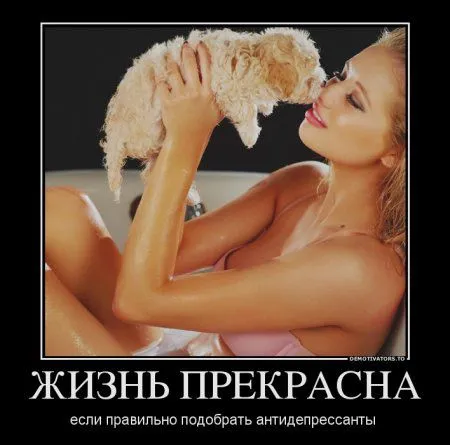 Демотиваторы для позитивных и смелых