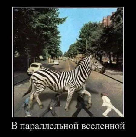 Демотиваторы для позитивных и смелых
