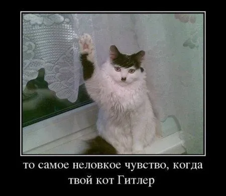 Демотиваторы для позитивных и смелых