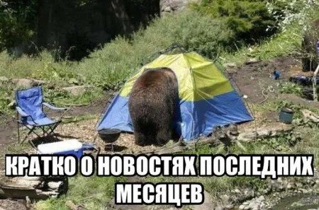 Взболтать, но не смешивать: коктейль позитива :)