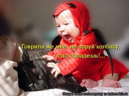 Котоматрицы, всегда свежие