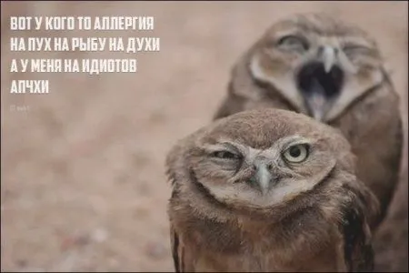 Приколы на ночь глядя