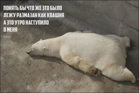 Приколы на ночь глядя