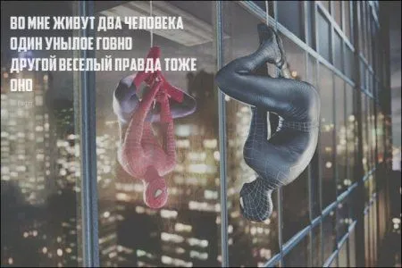 Приколы на ночь глядя