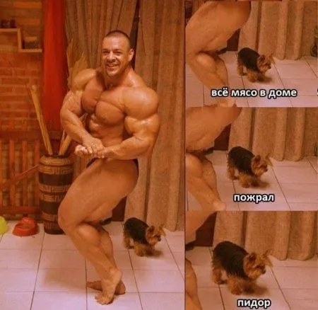 Приколы на ночь глядя