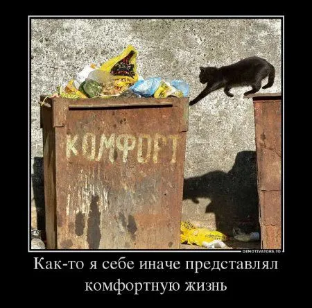 Демотиваторы прикольные, и смотреть хорошо Демотиваторы прикольные, и смотреть хорошо