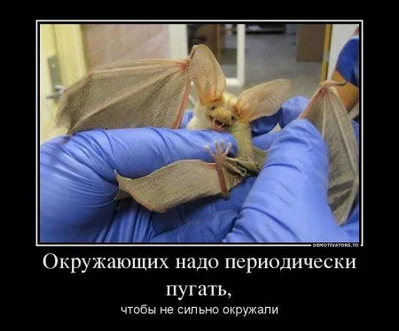 Демотиваторы прикольные, и смотреть хорошо Демотиваторы прикольные, и смотреть хорошо