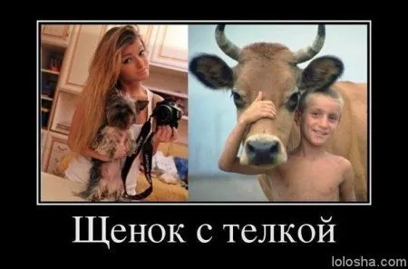 Демотиваторы прикольные, и смотреть хорошо Демотиваторы прикольные, и смотреть хорошо