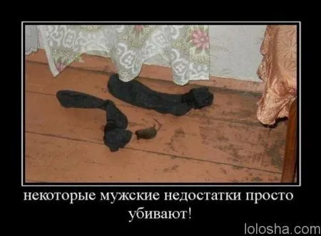 Демотиваторы прикольные, и смотреть хорошо Демотиваторы прикольные, и смотреть хорошо
