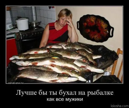 Демотиваторы прикольные, и смотреть хорошо Демотиваторы прикольные, и смотреть хорошо