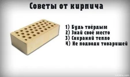 Смотри приколы, спасайся от скуки