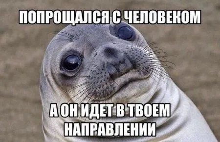 Смотри приколы, спасайся от скуки