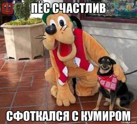 Смотри приколы, спасайся от скуки
