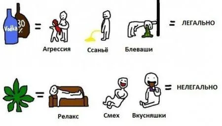 Смотри приколы, спасайся от скуки