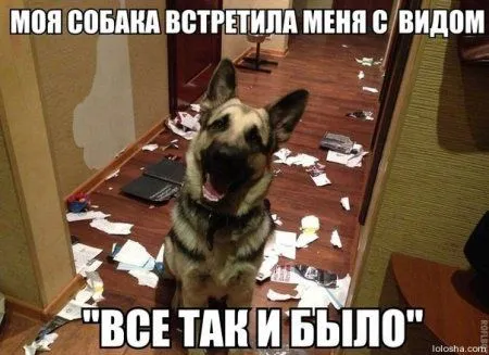 Смотри приколы, спасайся от скуки