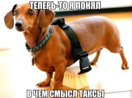 Смотри приколы, спасайся от скуки