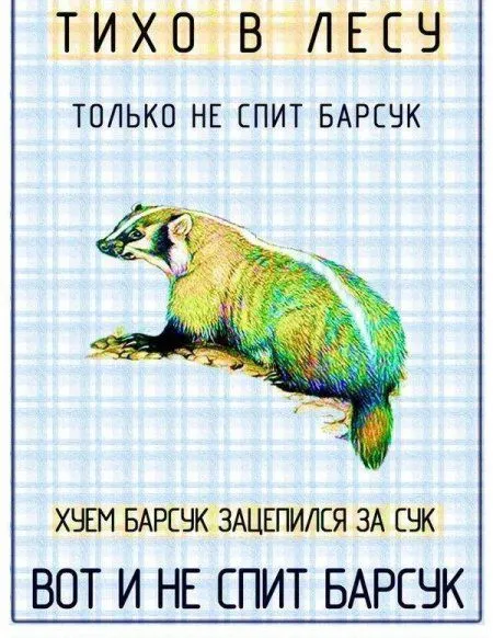 Фотоприколы - это круто