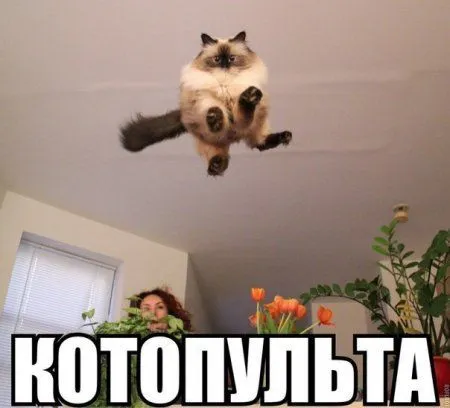 Фотоприколы - это круто